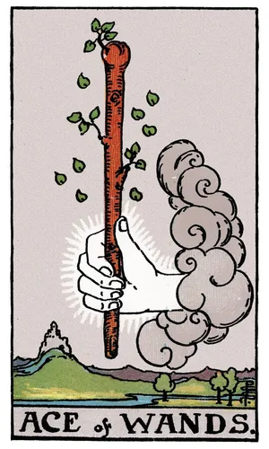Ace of Wands tarot card from the 1909 Rider–Waite–Smith deck
